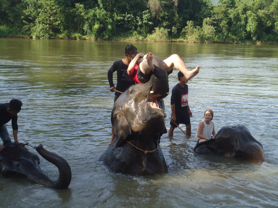 journée extraordinaire avec les éléphants